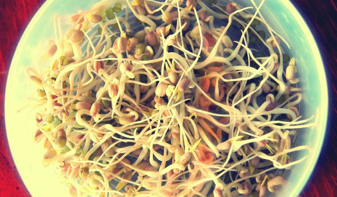 bean-sprouts-657415_960_720.jpg
